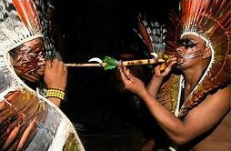 Planting my Parica Yopo tree in the Amazon rainforest [The Amazon Sacred Tree]
